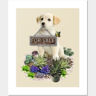 Puppy for sale Posters and Art